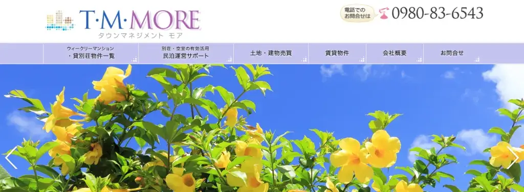 T・M More (タウンマネジメント モア)の公式サイト
